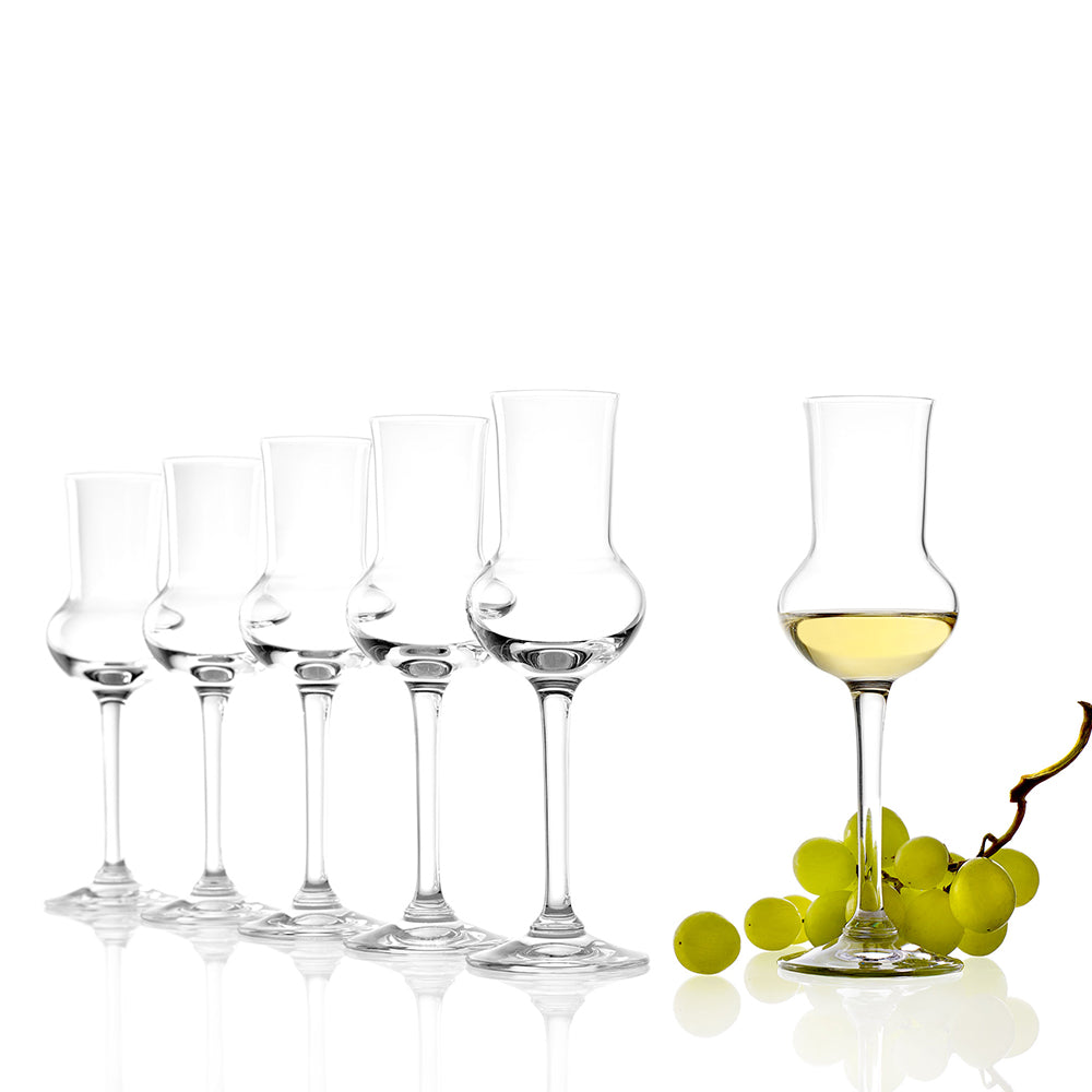 Grappa Glass Professional Set of 6