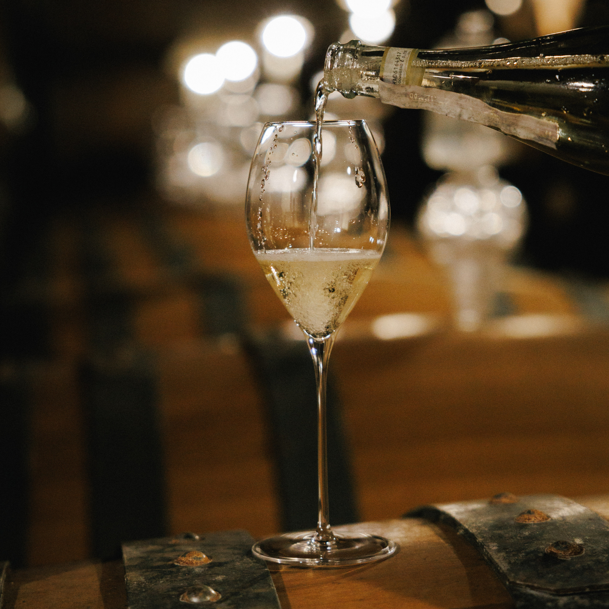 Champagne Glass Fino Set of 6