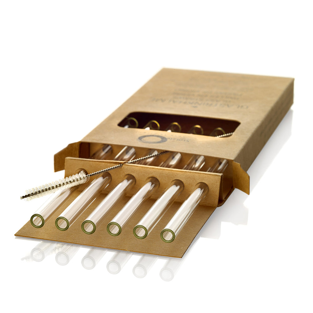 Glass Straws Clear with Cleaning Brush Set of 6 200 mm