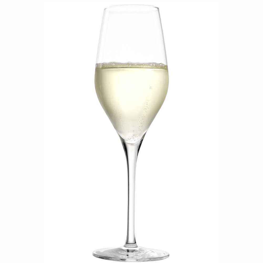 Stölzle Lausitz hochwertige Champagnergläser mit elegantem Design für besondere Anlässe