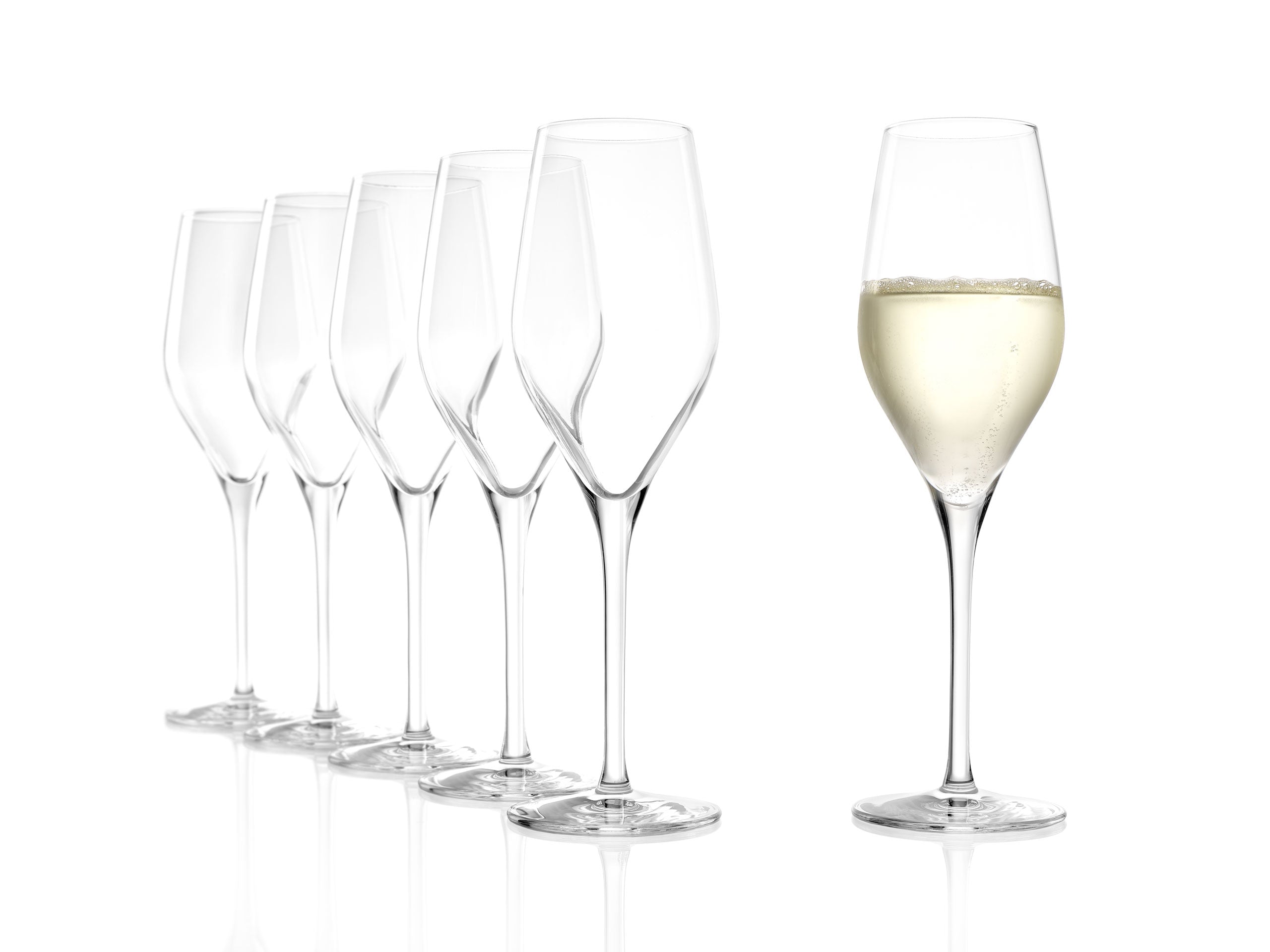 Sechs hochwertige Champagnergläser aus Glas mit elegantem Design für festliche Anlässe