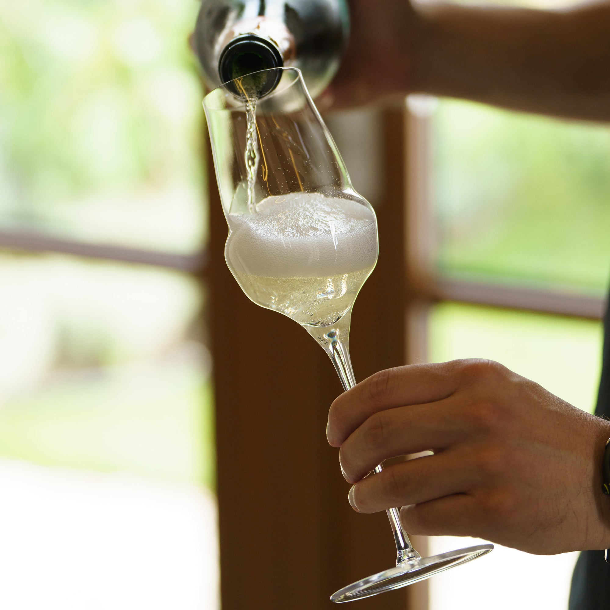 Hochwertige Gläser Made in Germany mit Sektfüllung, elegant in der Hand gehalten