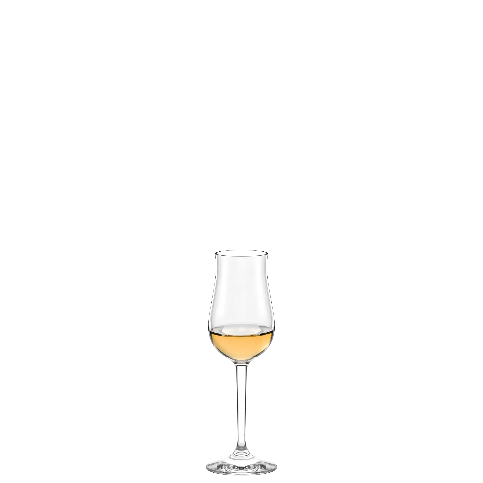 Large Grappa Glass Professional Set of 6