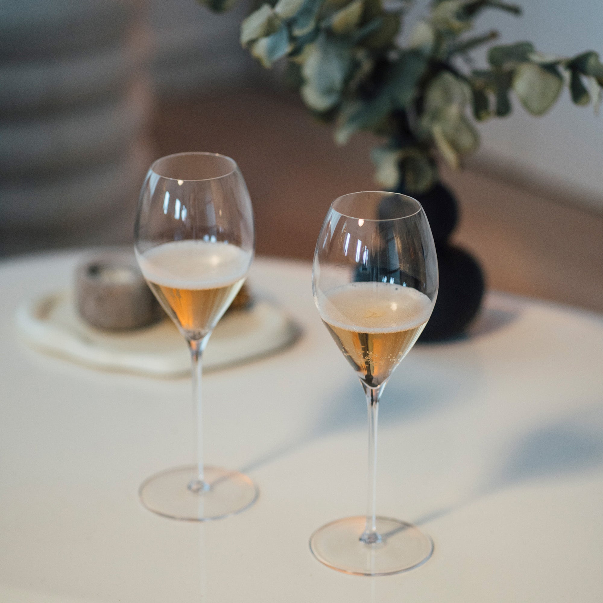 Champagne Goblet Fino Set of 6