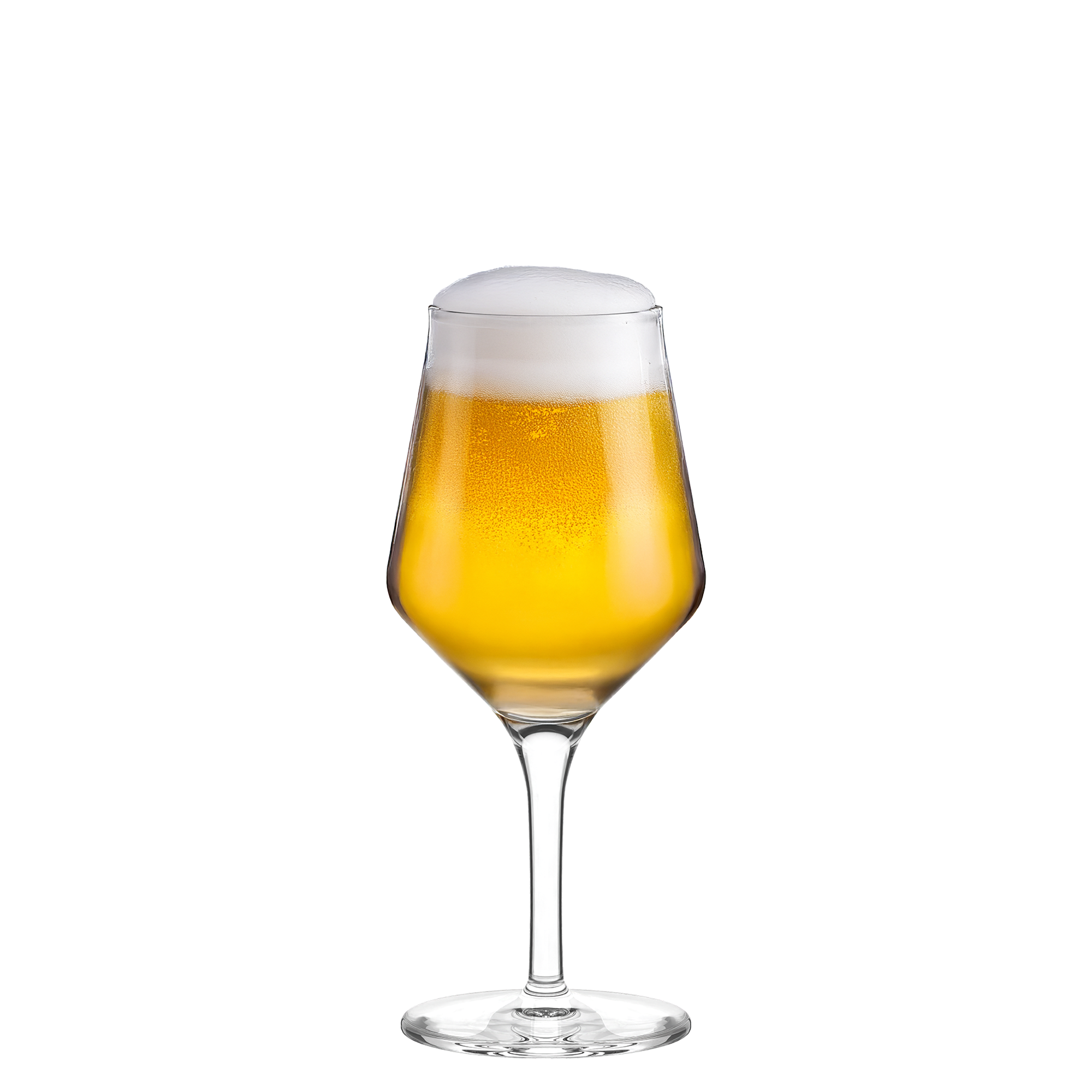 Craft Beer Glass 0.30 l Set of 6