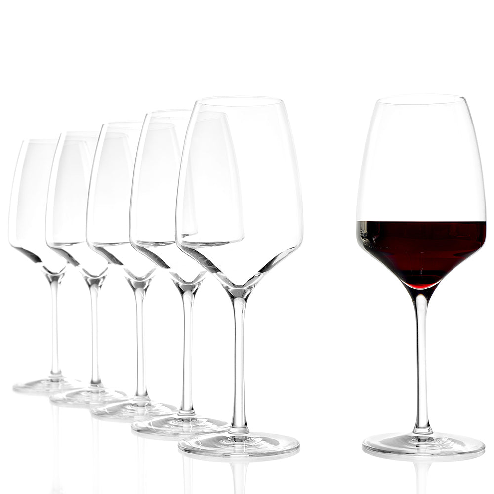 Experience red wine goblet set of 6