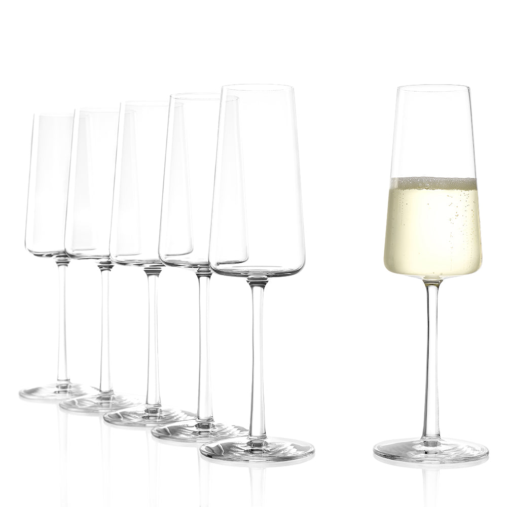 Champagne Glass Power Set of 2