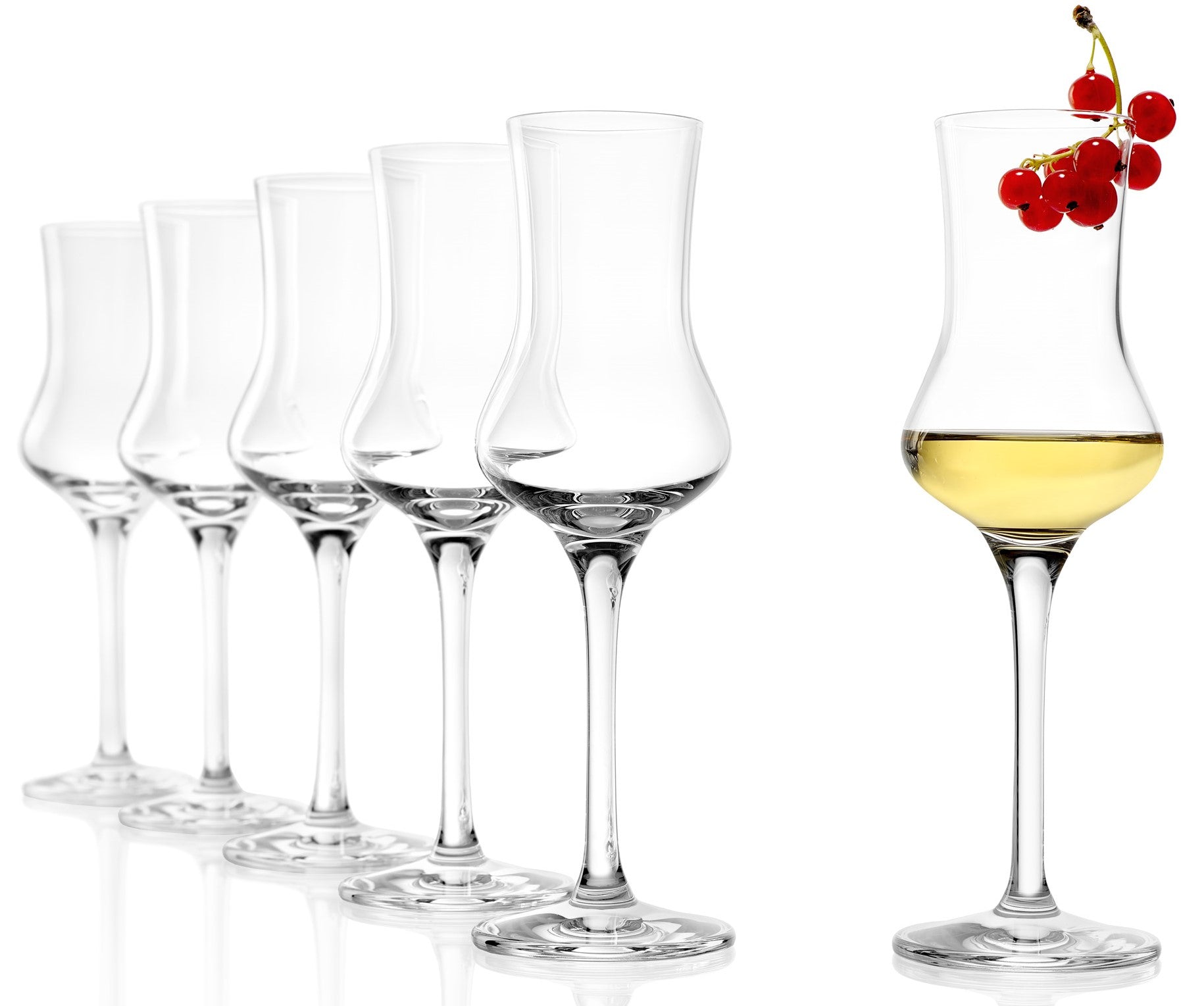Grappa Glass Set of 6