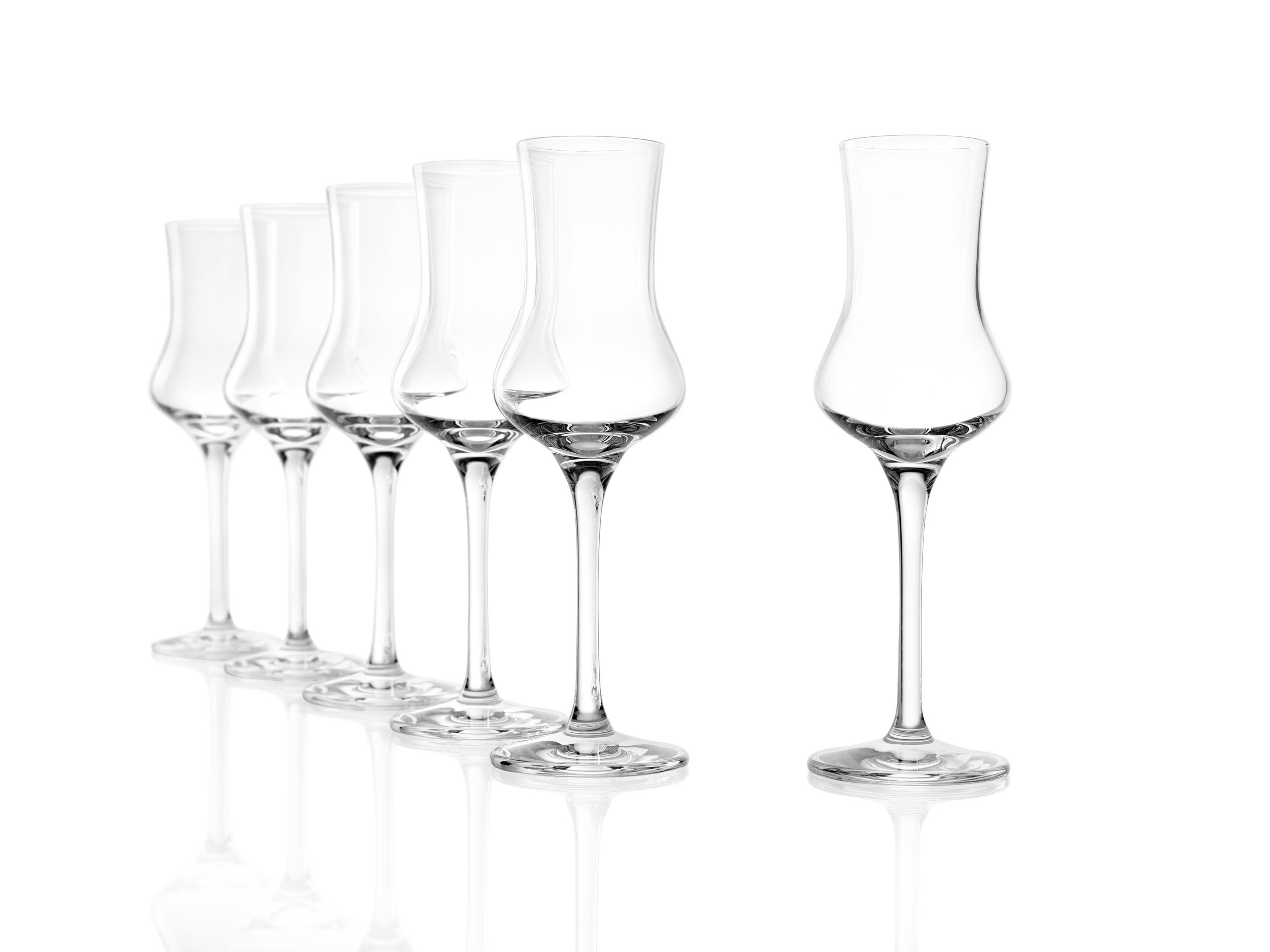 Grappa Glass Set of 6