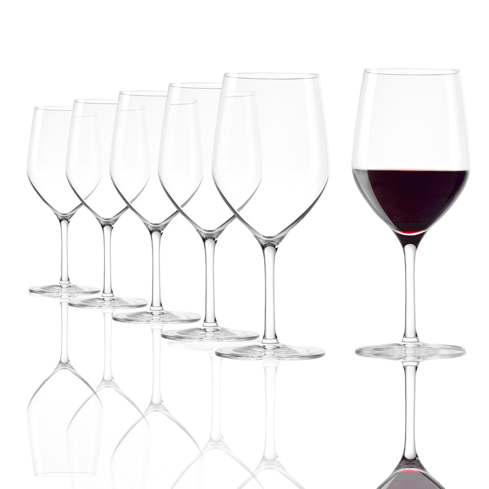 L’Universel Red, White & Champagne Wine Glass - Set of 6