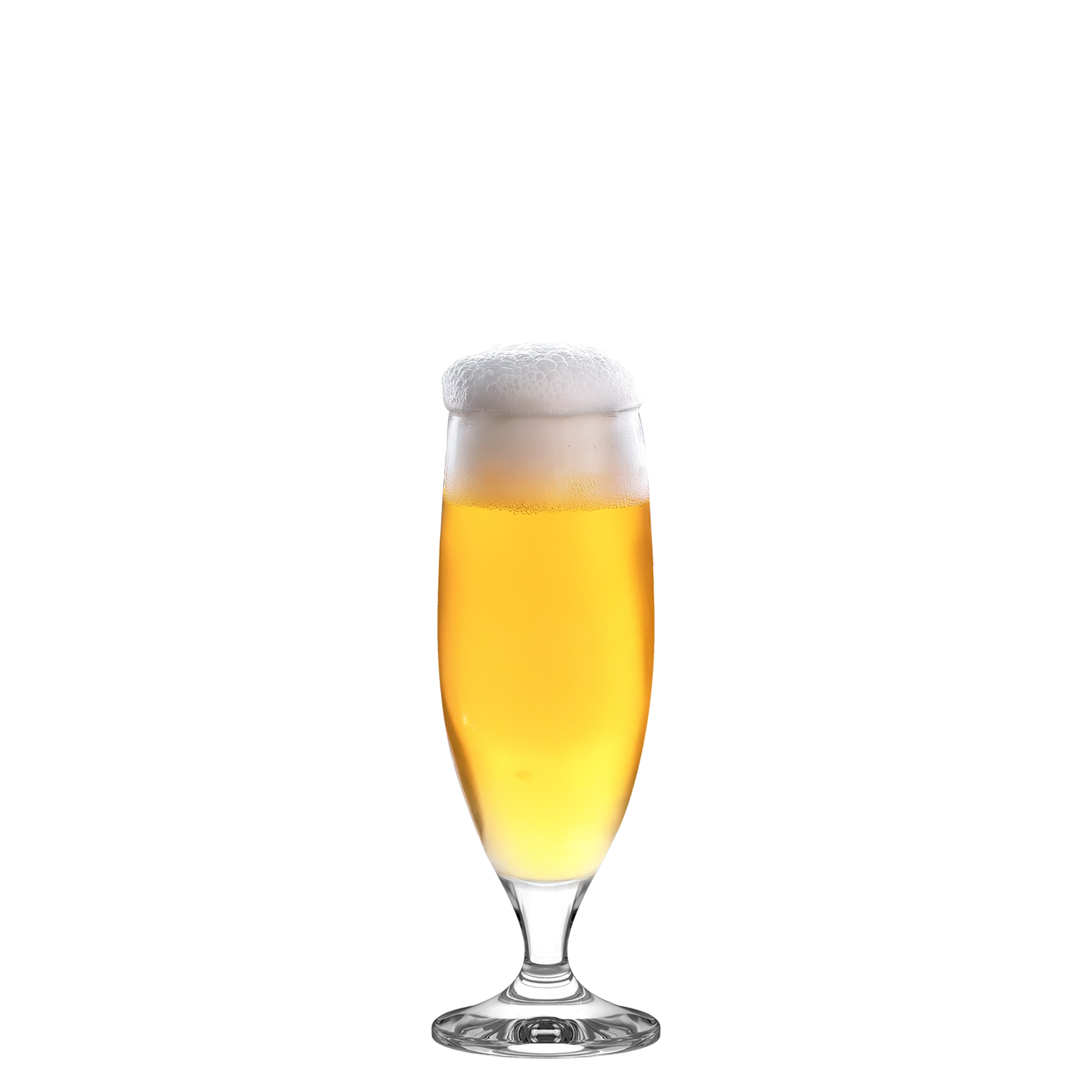 Elegantes Stölzle Lausitz Bierglas mit goldenem Bier und schaumiger Krone, ideal um langlebige Biergläser zu kaufen