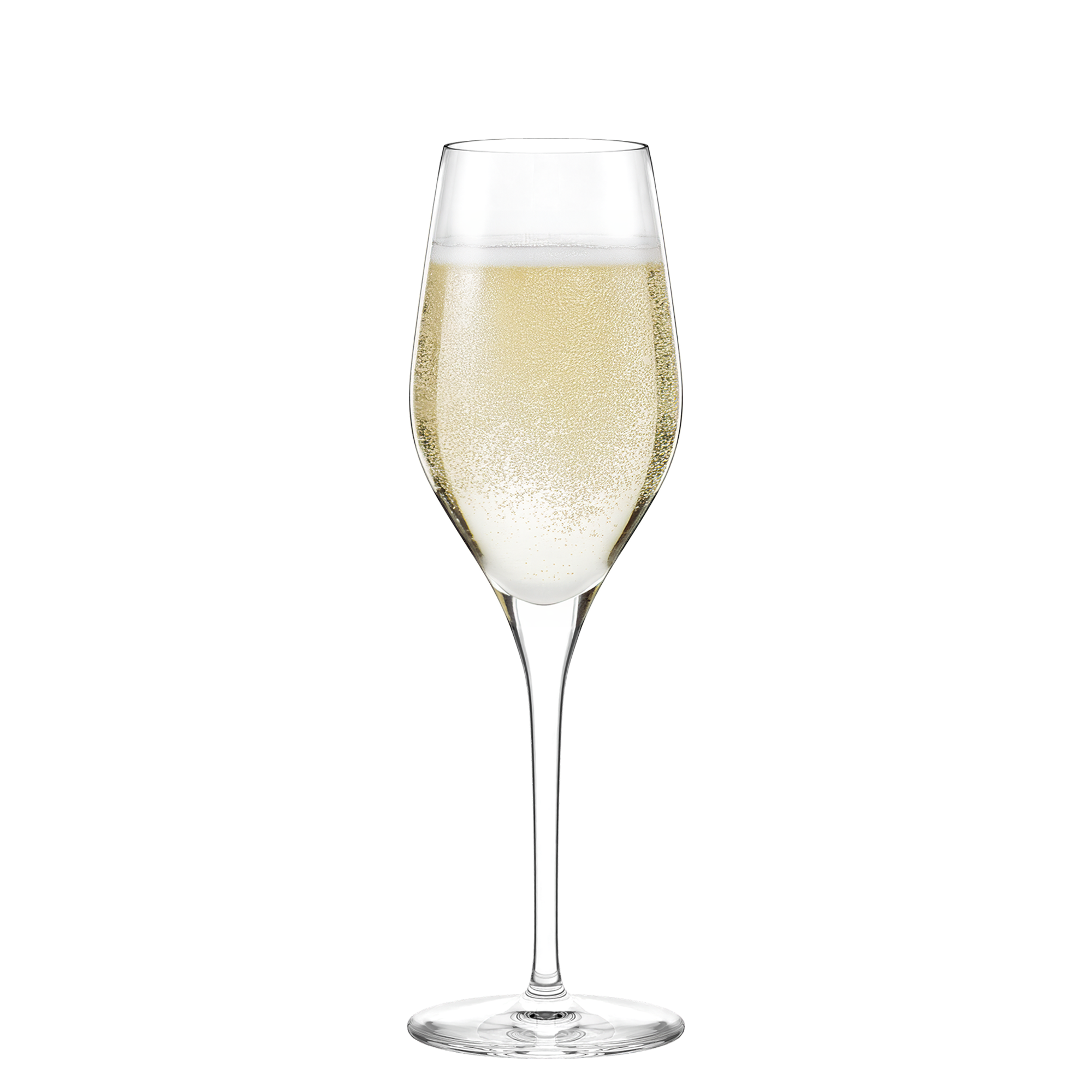Elegante hochwertige Champagnergläser von Stölzle Lausitz mit sprudelndem Champagner gefüllt