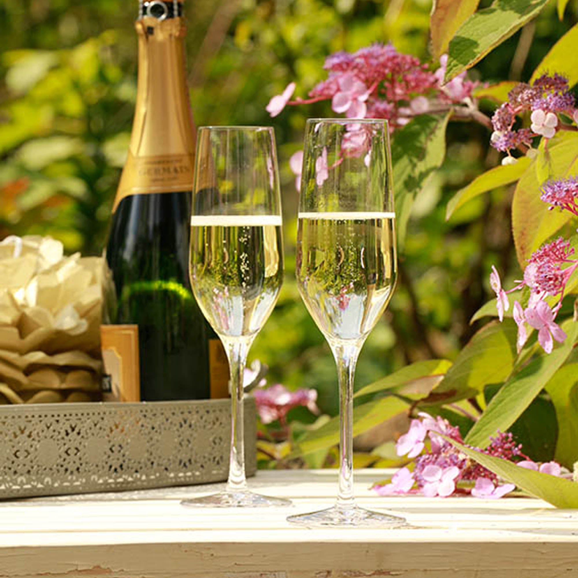 Zwei langlebige Champagnergläser von Stölzle Lausitz, gefüllt mit sprudelndem Sekt in blühender Umgebung
