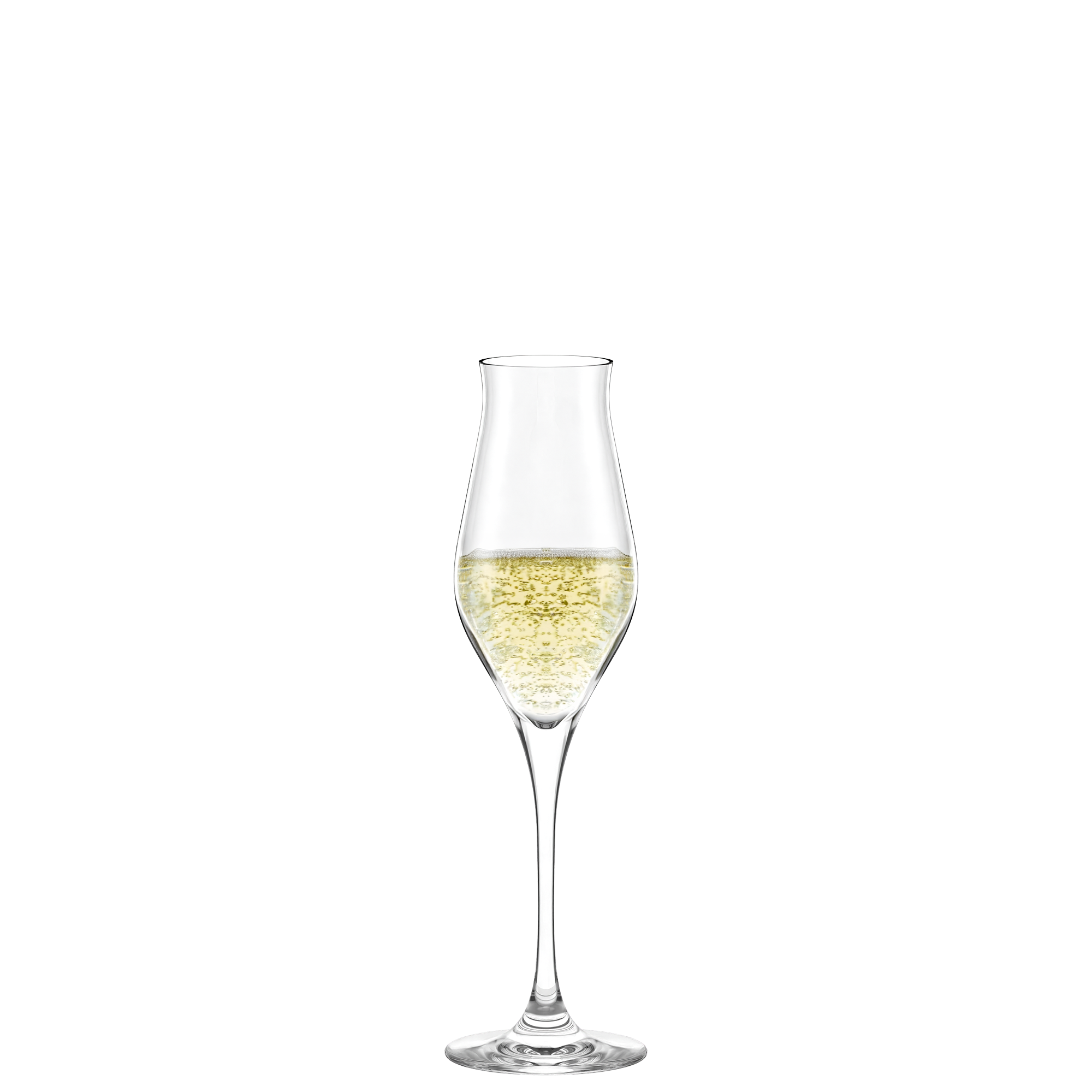 Elegantes Luxus Champagnerglas von Stölzle Lausitz mit sprudelndem Champagner gefüllt