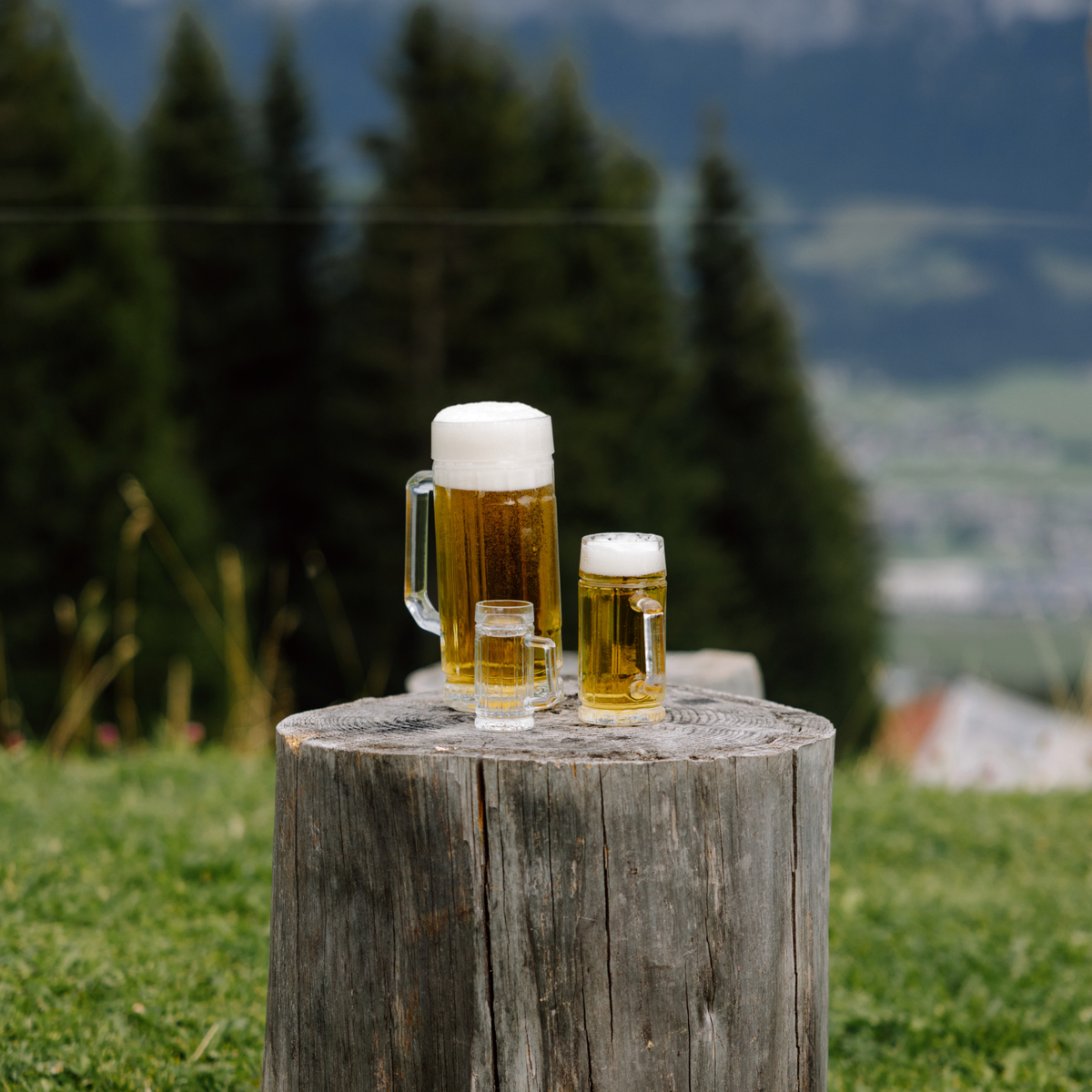 Oberglas Gambrinus Bierkrug 500ml, 300ml und 40 ml gefüllt mit Bier und Schnaps auf einem Holzstamm in der Natur