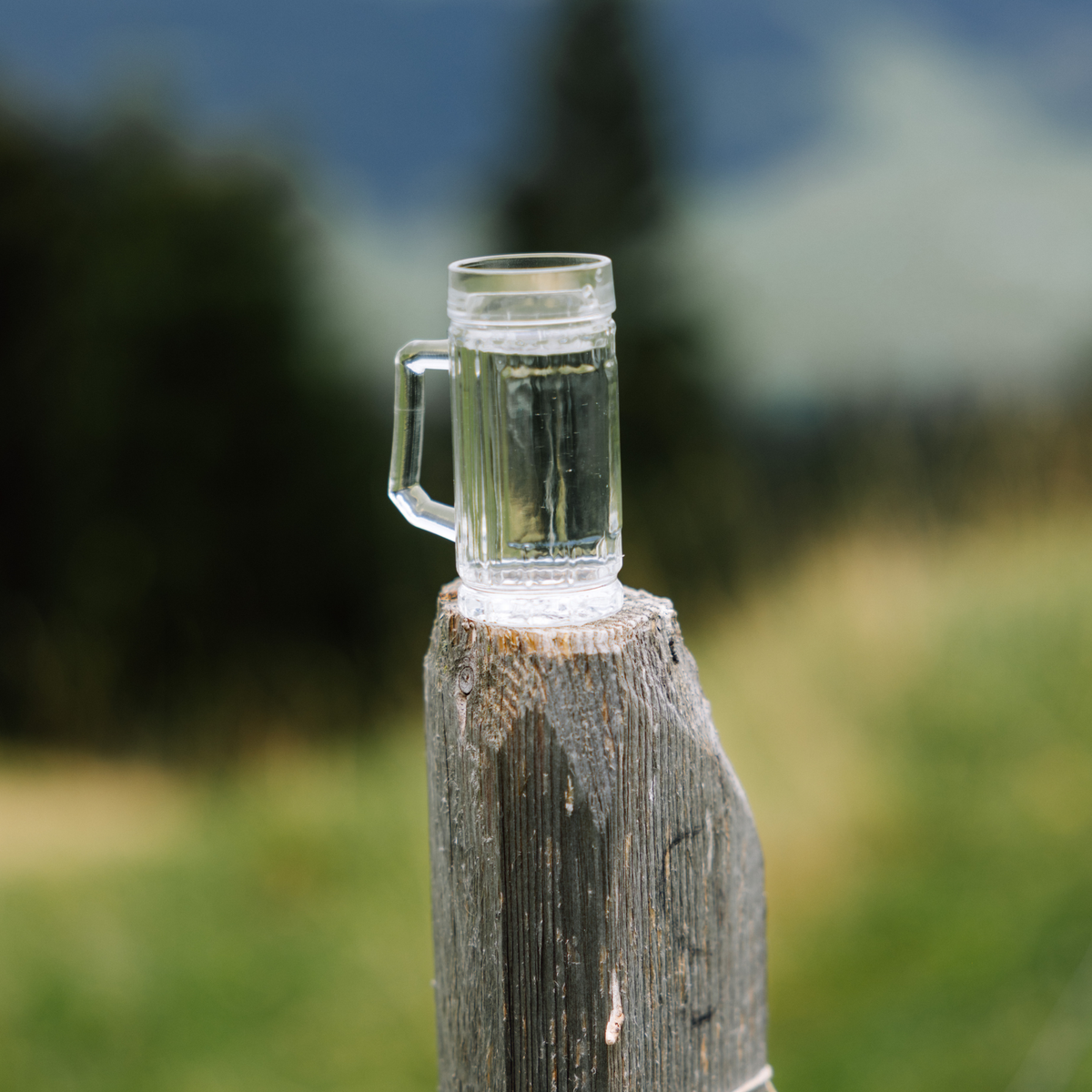 Oberglas Gambrinus Schnapsglas 40ml, mit einer klarer Flüssigkeit gefüllt auf einem dicken Holz-Zaunpfahl
