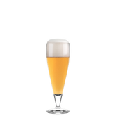 Beer Classic Set of 6