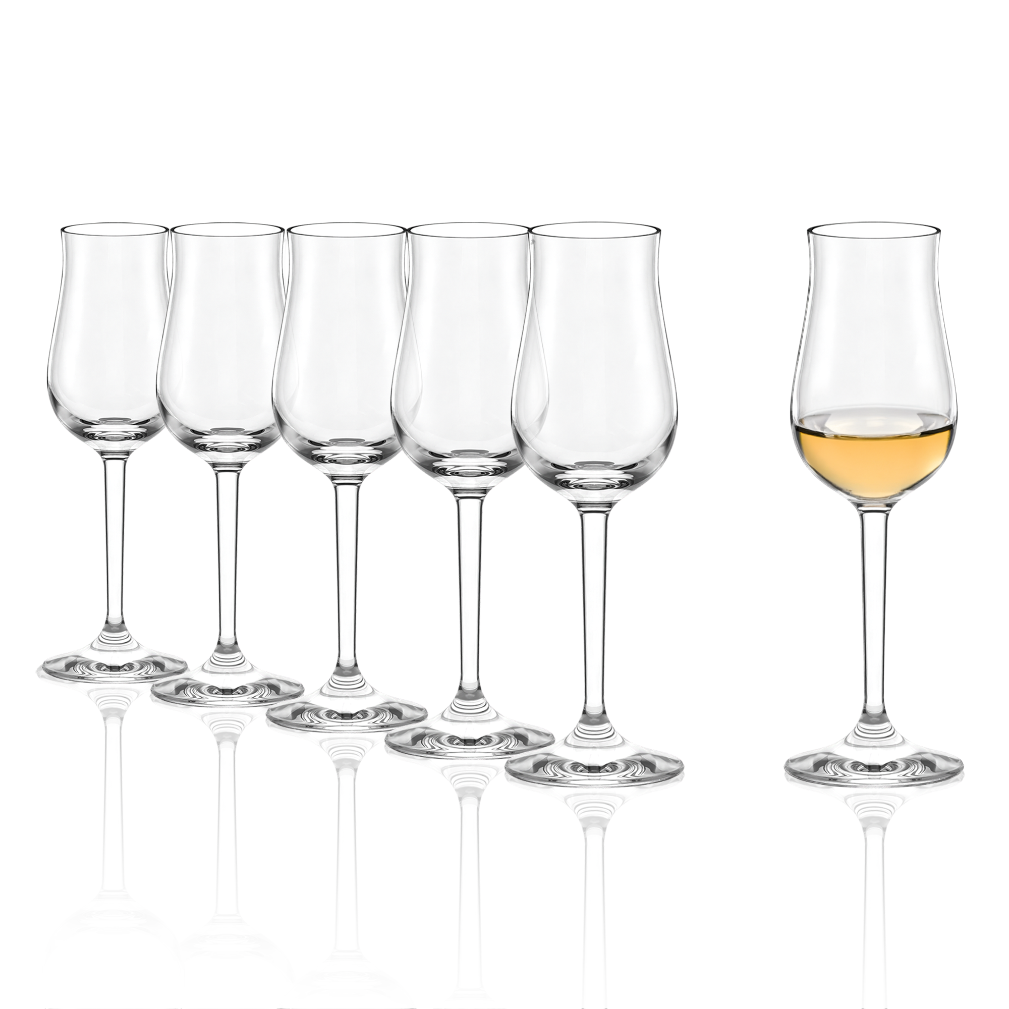 Large Grappa Glass Professional Set of 6
