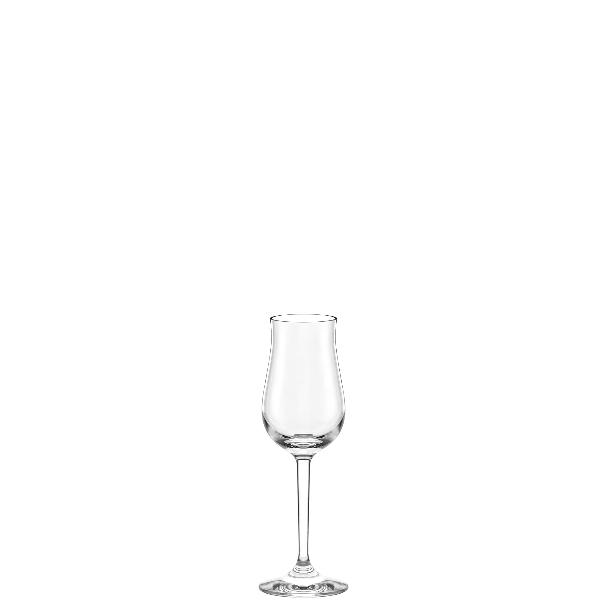 Large Grappa Glass Professional Set of 6