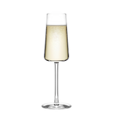 Champagne Glass Power Set of 6
