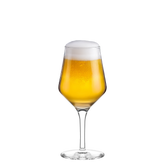 Craft Beer Glas 0,30 l 6er Set