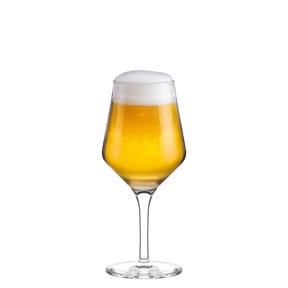 Craft Beer Glas 0,30 l 6er Set