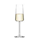 Champagne Glass Power Set of 6