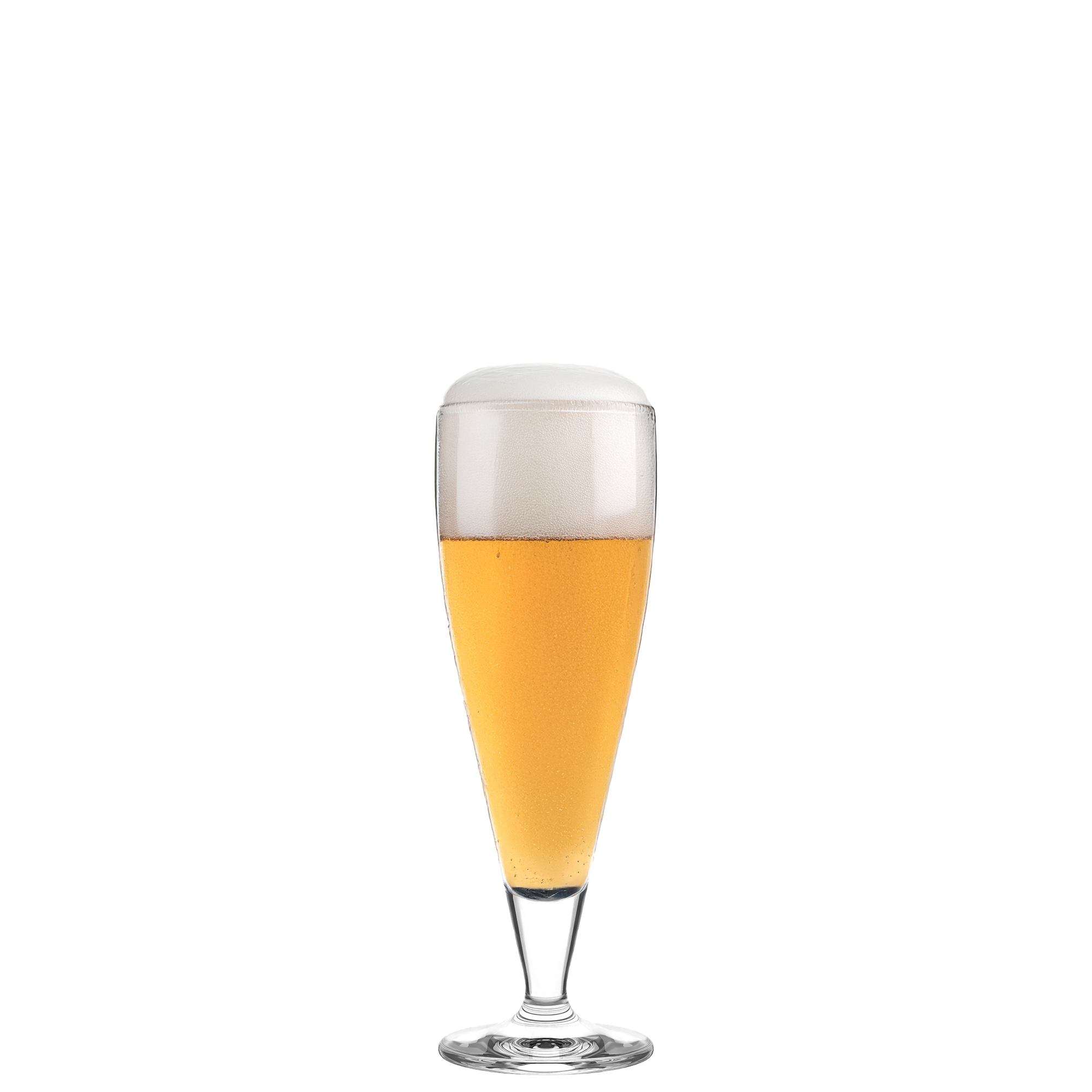 Stölzle Lausitz Biergläser in hoher Form mit goldfarbenem Bier und cremigem Schaum