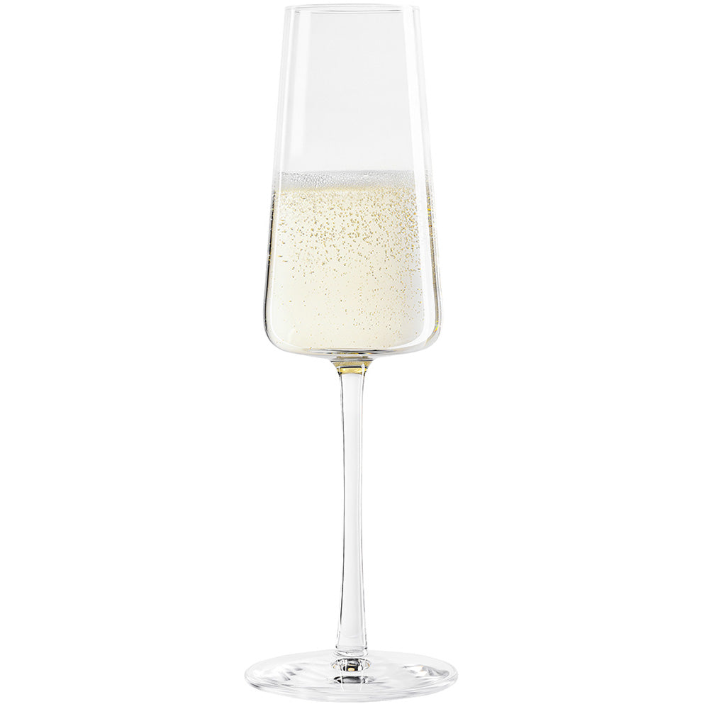 Champagne Glass Power Set of 2